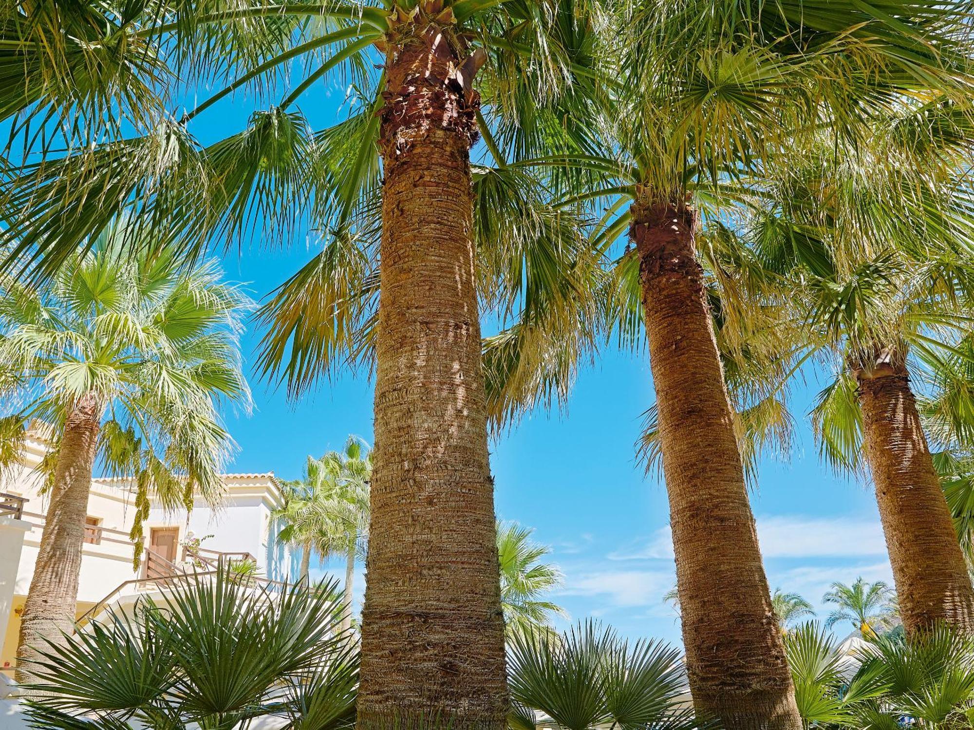 Grecotel Marine Palace&Aqua Park Rethymno Esterno foto